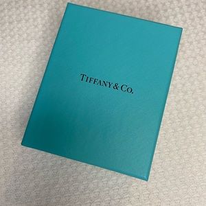 Tiffany & Co Round Link Bracelet
